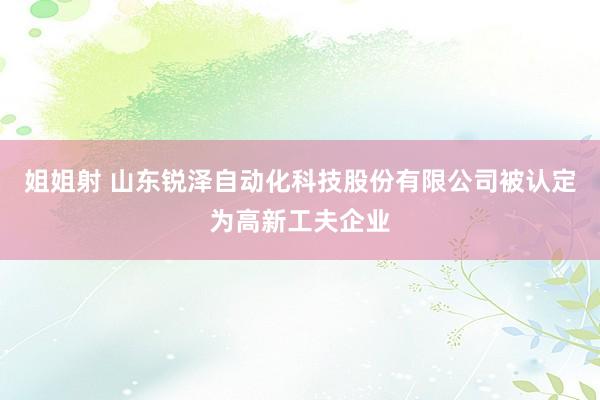 姐姐射 山东锐泽自动化科技股份有限公司被认定为高新工夫企业