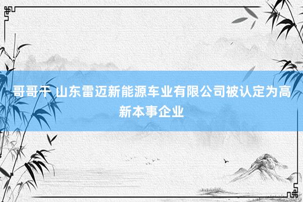 哥哥干 山东雷迈新能源车业有限公司被认定为高新本事企业