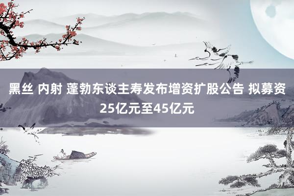 黑丝 内射 蓬勃东谈主寿发布增资扩股公告 拟募资25亿元至45亿元