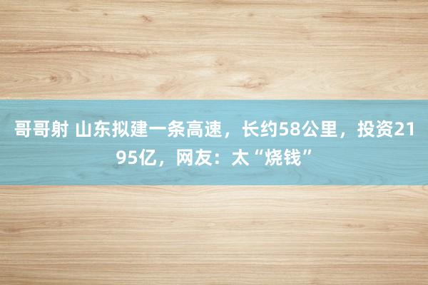 哥哥射 山东拟建一条高速，长约58公里，投资2195亿，网友：太“烧钱”