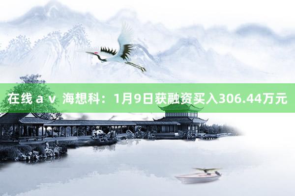 在线ａｖ 海想科：1月9日获融资买入306.44万元