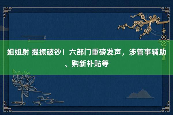 姐姐射 提振破钞！六部门重磅发声，涉管事辅助、购新补贴等