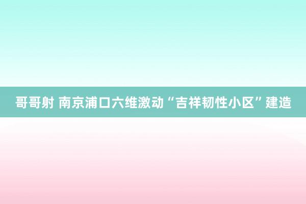 哥哥射 南京浦口六维激动“吉祥韧性小区”建造