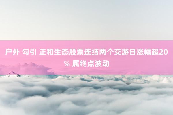 户外 勾引 正和生态股票连结两个交游日涨幅超20% 属终点波动