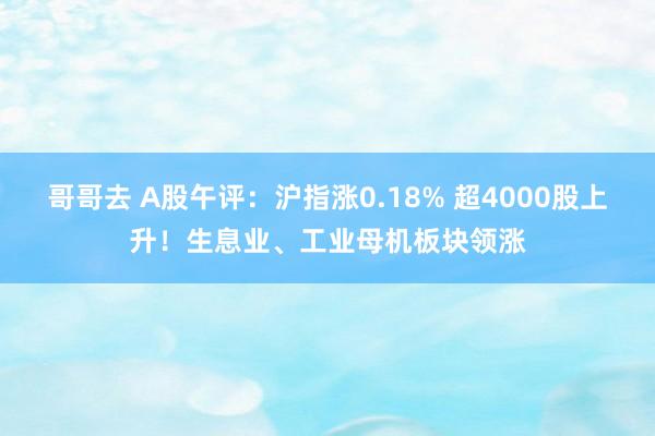 哥哥去 A股午评：沪指涨0.18% 超4000股上升！生息业、工业母机板块领涨