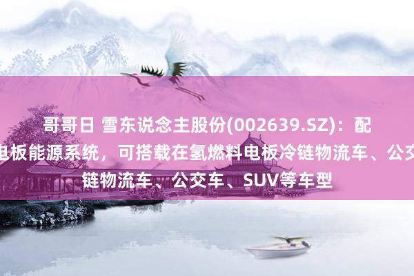哥哥日 雪东说念主股份(002639.SZ)：配置了多款氢燃料电板能源系统，可搭载在氢燃料电板冷链物流车、公交车、SUV等车型