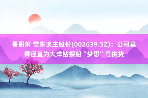 哥哥射 雪东谈主股份(002639.SZ)：公司莫得径直为大洋钻探船“梦思”号供货