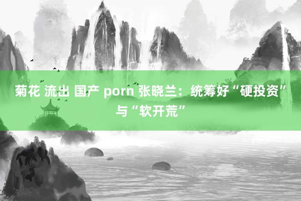 菊花 流出 国产 porn 张晓兰：统筹好“硬投资”与“软开荒”