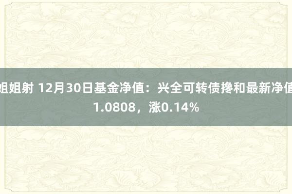 姐姐射 12月30日基金净值：兴全可转债搀和最新净值1.0808，涨0.14%