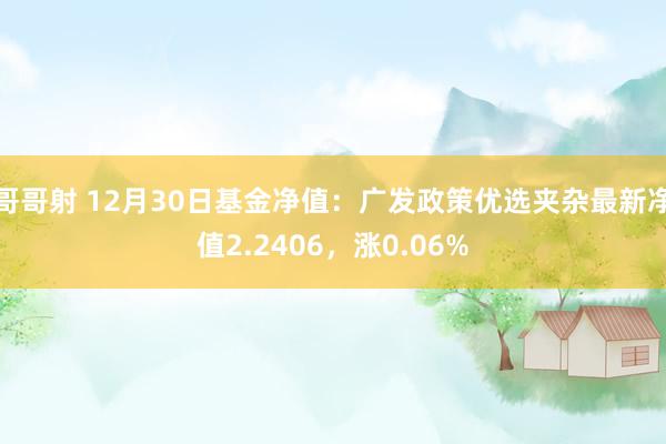 哥哥射 12月30日基金净值：广发政策优选夹杂最新净值2.2406，涨0.06%
