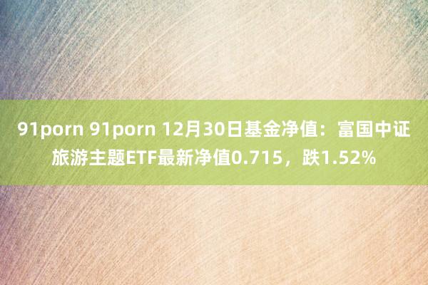 91porn 91porn 12月30日基金净值：富国中证旅游主题ETF最新净值0.715，跌1.52%