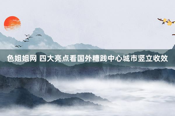 色姐姐网 四大亮点看国外糟践中心城市竖立收效