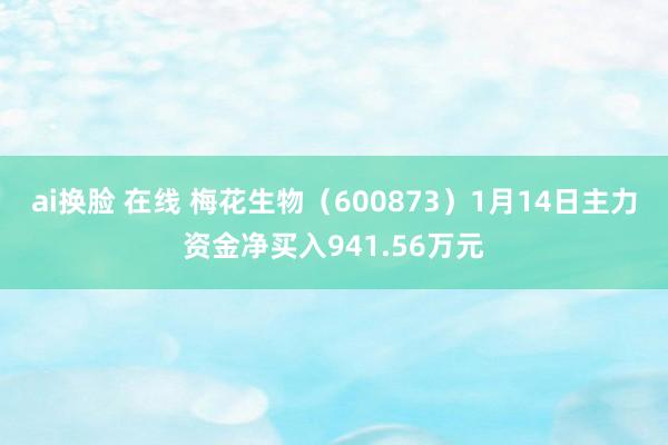 ai换脸 在线 梅花生物（600873）1月14日主力资金净买入941.56万元