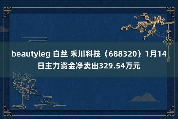 beautyleg 白丝 禾川科技（688320）1月14日主力资金净卖出329.54万元