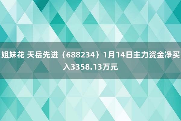 姐妹花 天岳先进（688234）1月14日主力资金净买入3358.13万元