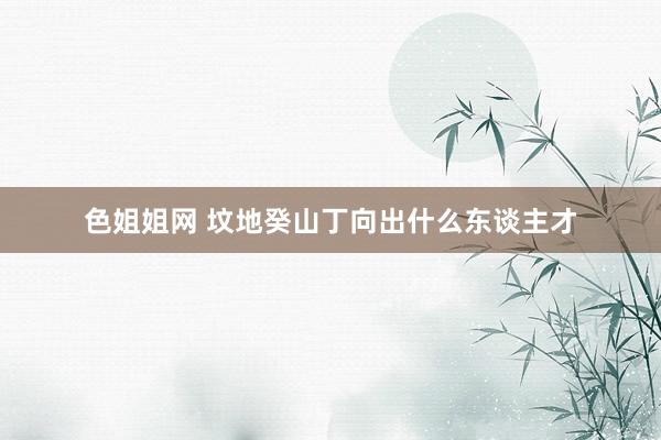 色姐姐网 坟地癸山丁向出什么东谈主才