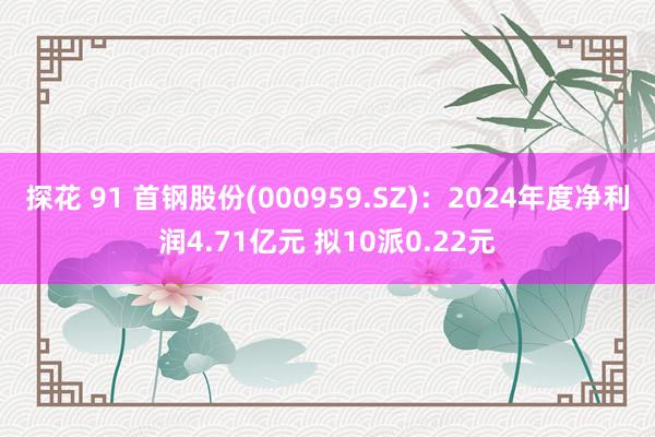 探花 91 首钢股份(000959.SZ)：2024年度净利润4.71亿元 拟10派0.22元