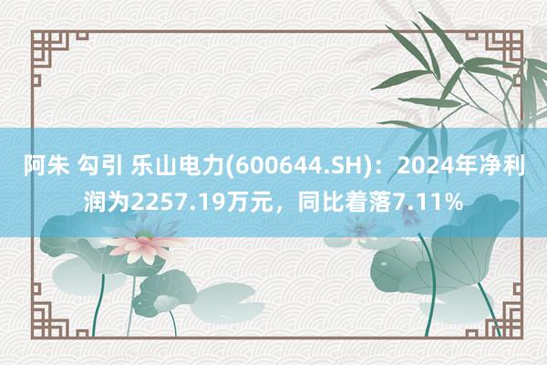 阿朱 勾引 乐山电力(600644.SH)：2024年净利润为2257.19万元，同比着落7.11%