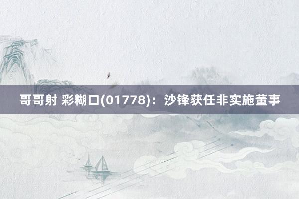 哥哥射 彩糊口(01778)：沙锋获任非实施董事