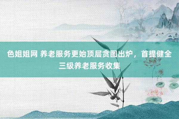 色姐姐网 养老服务更始顶层贪图出炉，首提健全三级养老服务收集