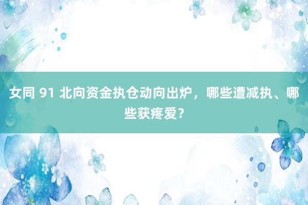 女同 91 北向资金执仓动向出炉，哪些遭减执、哪些获疼爱？