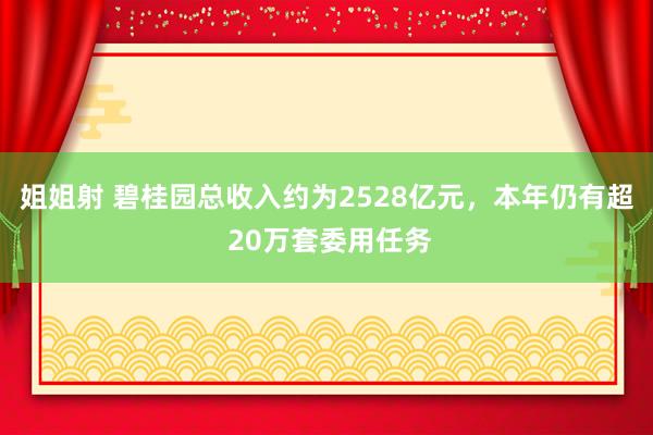 姐姐射 碧桂园总收入约为2528亿元，本年仍有超 20万套委用任务