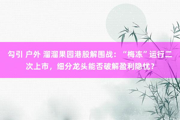 勾引 户外 溜溜果园港股解围战：“梅冻”运行二次上市，细分龙头能否破解盈利隐忧？