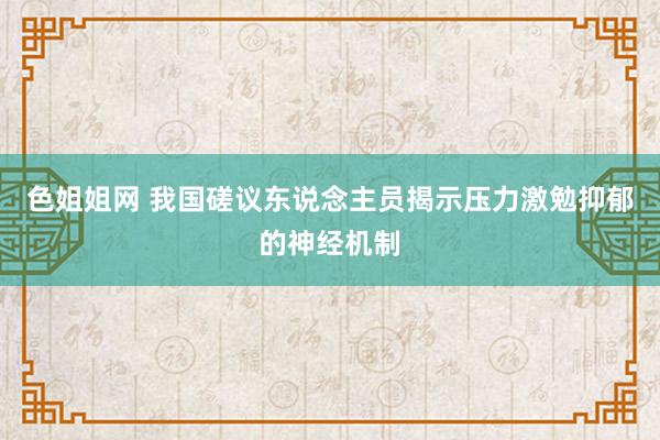 色姐姐网 我国磋议东说念主员揭示压力激勉抑郁的神经机制