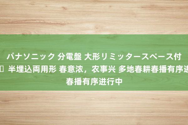 パナソニック 分電盤 大形リミッタースペース付 露出・半埋込両用形 春意浓，农事兴 多地春耕春播有序进行中