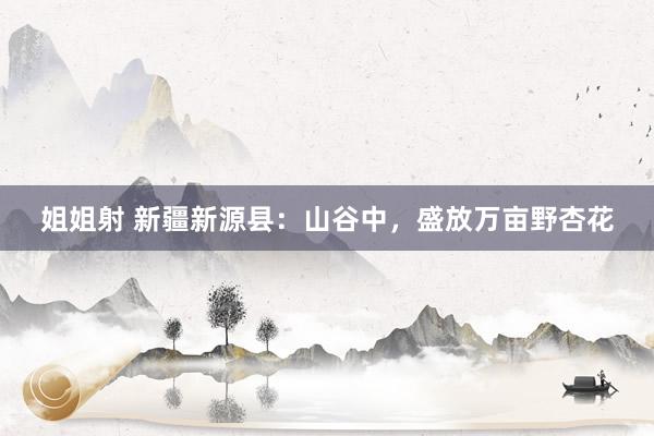 姐姐射 新疆新源县：山谷中，盛放万亩野杏花