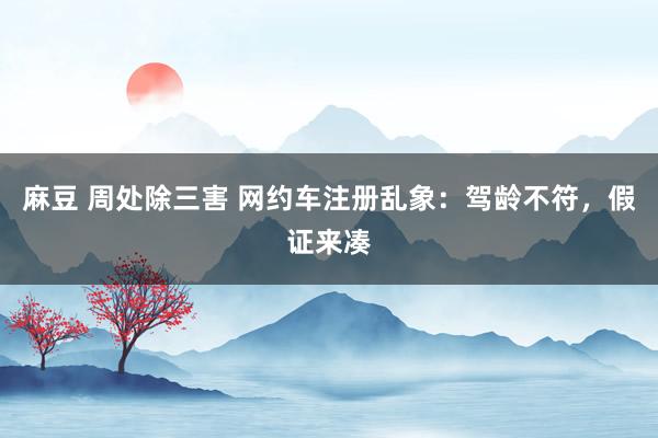 麻豆 周处除三害 网约车注册乱象：驾龄不符，假证来凑